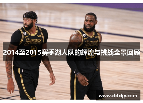 2014至2015赛季湖人队的辉煌与挑战全景回顾 2014至2015赛季湖人队的辉煌与挑战全景回顾
